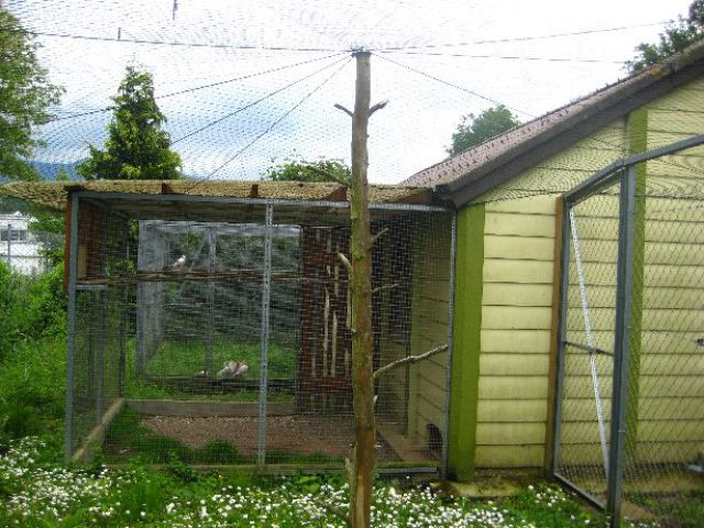 Zuchtanlage Bild Nr.18