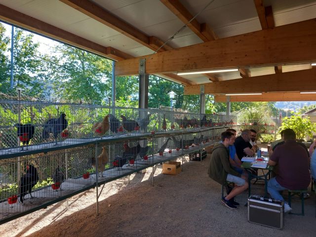 Zuchtanlage Bild Nr.6