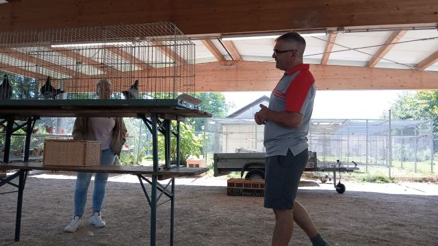 Zuchtanlage Bild Nr.11