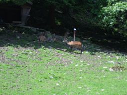 Ausflug 2013 Bild Nr.24