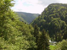 Ausflug 2013 Bild Nr.28