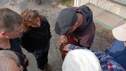 Ausstellungsvorbereitungen Bild Nr.4