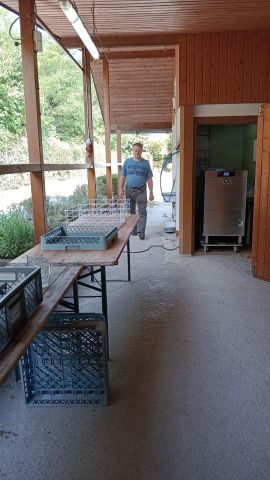 Zuchtanlage Bild Nr.6