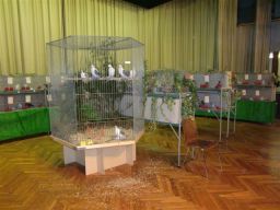 5. Lokalausstellung (2009) Bild Nr.7