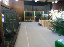 Lokalschau 2011 Bild Nr.23