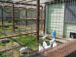 Besuch des Kindergartens St. Antonius (21.04.10) Bild Nr.7