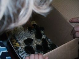 Besuch des Kindergartens St. Antonius (21.04.10) Bild Nr.13