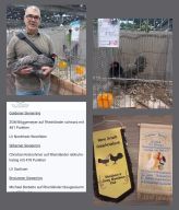 Erfolge 2024 Bild Nr.4