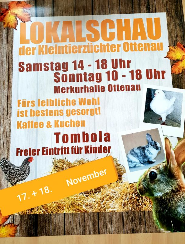 Frauen